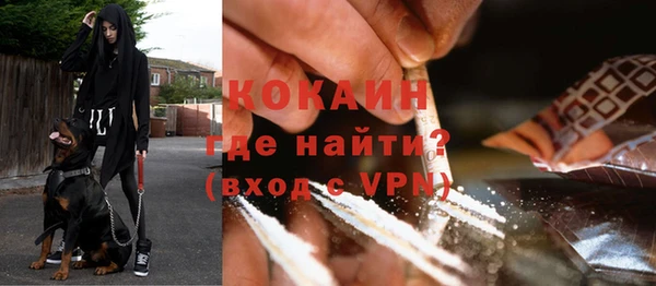 тгк Новодвинск