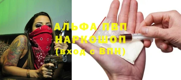 тгк Новодвинск