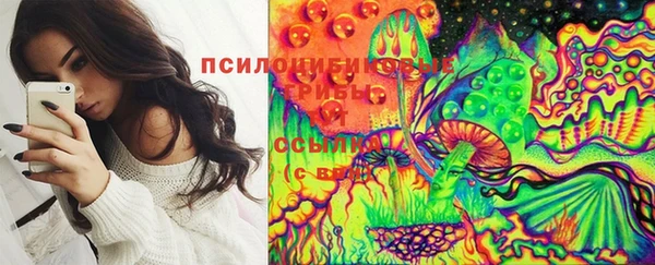 синтетический гашиш Алексеевка