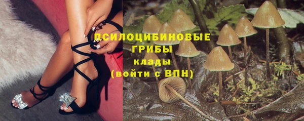 тгк Новодвинск