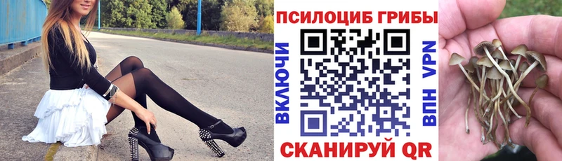 Псилоцибиновые грибы MAGIC MUSHROOMS  МЕГА   Владикавказ 